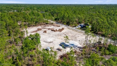 Welcome to your blank canvas in the heart of Lehigh Acres! This on Lehigh Resort Club in Florida - for sale on GolfHomes.com, golf home, golf lot