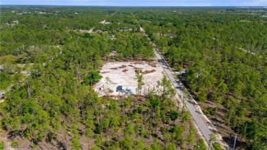 Welcome to your blank canvas in the heart of Lehigh Acres! This on Lehigh Resort Club in Florida - for sale on GolfHomes.com, golf home, golf lot