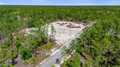 Welcome to your blank canvas in the heart of Lehigh Acres! This on Lehigh Resort Club in Florida - for sale on GolfHomes.com, golf home, golf lot