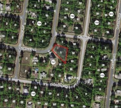 Look no further than the nearly identical lot next door to see on Citrus Springs Country Club in Florida - for sale on GolfHomes.com, golf home, golf lot