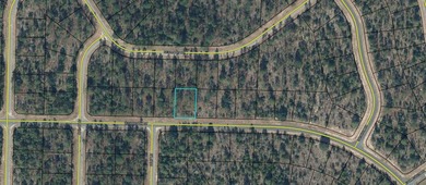 Nice .257 acre lot. Sunny Hills is an established subdivision on Sunny Hills Golf and Country Club in Florida - for sale on GolfHomes.com, golf home, golf lot