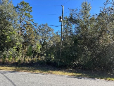 Look no further than the nearly identical lot next door to see on Citrus Springs Country Club in Florida - for sale on GolfHomes.com, golf home, golf lot