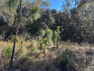 Look no further than the nearly identical lot next door to see on Citrus Springs Country Club in Florida - for sale on GolfHomes.com, golf home, golf lot