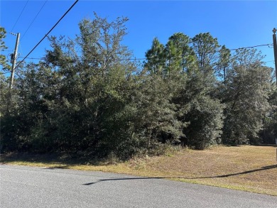 Look no further than the nearly identical lot next door to see on Citrus Springs Country Club in Florida - for sale on GolfHomes.com, golf home, golf lot