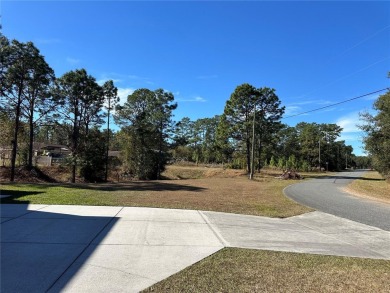 Look no further than the nearly identical lot next door to see on Citrus Springs Country Club in Florida - for sale on GolfHomes.com, golf home, golf lot