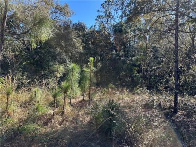 Look no further than the nearly identical lot next door to see on Citrus Springs Country Club in Florida - for sale on GolfHomes.com, golf home, golf lot