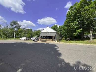 Welcome to 514 Main St in Alpha, Michigan--a unique property on George Young Golf Course in Michigan - for sale on GolfHomes.com, golf home, golf lot