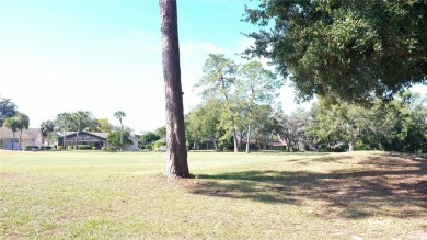 Welcome to your dream home nestled on a picturesque golf course on Wekiva Golf Club in Florida - for sale on GolfHomes.com, golf home, golf lot