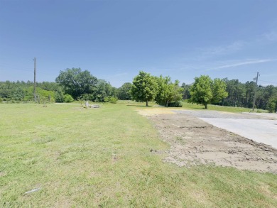 This beautifully designed 2024 Southern Energy-Efficient Smart on Coopers Hawk in Arkansas - for sale on GolfHomes.com, golf home, golf lot