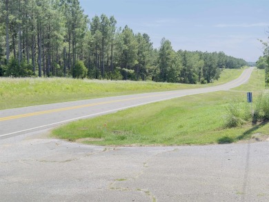 This beautifully designed 2024 Southern Energy-Efficient Smart on Coopers Hawk in Arkansas - for sale on GolfHomes.com, golf home, golf lot