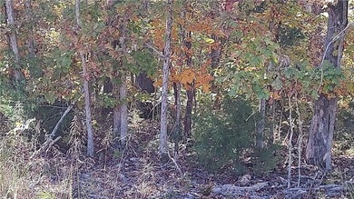 Sewered lot that is close to Trails and Blowing Springs Park. A on Bella Vista Country Club - Berksdale in Arkansas - for sale on GolfHomes.com, golf home, golf lot