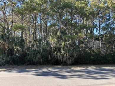 This is a spectacular Marsh view property on one oi the most on DeBordieu Country Club in South Carolina - for sale on GolfHomes.com, golf home, golf lot