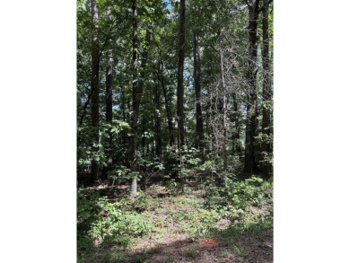 Don't miss this rare opportunity to own a beautiful quarter-acre on DeSoto Golf Course in Arkansas - for sale on GolfHomes.com, golf home, golf lot