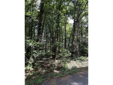 Don't miss this rare opportunity to own a beautiful quarter-acre on DeSoto Golf Course in Arkansas - for sale on GolfHomes.com, golf home, golf lot
