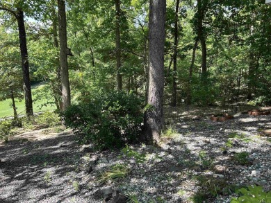 Enjoy golf course living at its finest in this beautifully on Balboa Golf Course in Arkansas - for sale on GolfHomes.com, golf home, golf lot