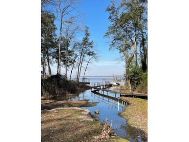 Situated along the waters edge in the prestigious neighborhood on Red Eagle Golf Course in Alabama - for sale on GolfHomes.com, golf home, golf lot