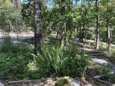 Enjoy golf course living at its finest in this beautifully on Balboa Golf Course in Arkansas - for sale on GolfHomes.com, golf home, golf lot