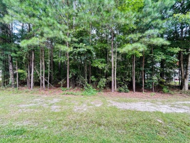 Priced to Sell! Seller offering a $5000 credit to buyer at on Sound Golf Links at Albemarle Plantation in North Carolina - for sale on GolfHomes.com, golf home, golf lot