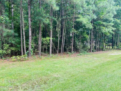 Priced to Sell! Seller offering a $5000 credit to buyer at on Sound Golf Links at Albemarle Plantation in North Carolina - for sale on GolfHomes.com, golf home, golf lot