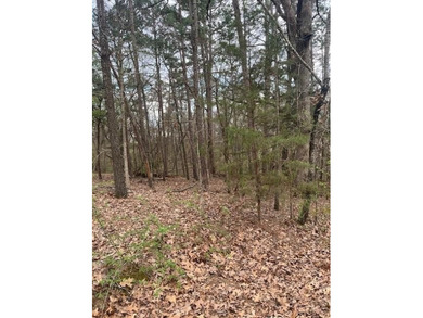 Location, location, location! .31 acre sewered lot. Close to on Bella Vista - Metfield Golf Complex and Country Club in Arkansas - for sale on GolfHomes.com, golf home, golf lot