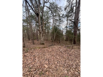 Location, location, location! .31 acre sewered lot. Close to on Bella Vista - Metfield Golf Complex and Country Club in Arkansas - for sale on GolfHomes.com, golf home, golf lot