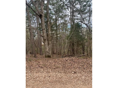 Location, location, location! .31 acre sewered lot. Close to on Bella Vista - Metfield Golf Complex and Country Club in Arkansas - for sale on GolfHomes.com, golf home, golf lot