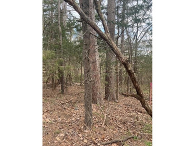 Location, location, location! .31 acre sewered lot. Close to on Bella Vista - Metfield Golf Complex and Country Club in Arkansas - for sale on GolfHomes.com, golf home, golf lot