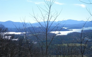 BIG LAKE CHATUGE VIEWS PLUS LUXURY GOLF COURSE LIVING IN THE on Mountain Harbour Golf Club in North Carolina - for sale on GolfHomes.com, golf home, golf lot