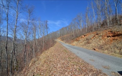 BIG LAKE CHATUGE VIEWS PLUS LUXURY GOLF COURSE LIVING IN THE on Mountain Harbour Golf Club in North Carolina - for sale on GolfHomes.com, golf home, golf lot