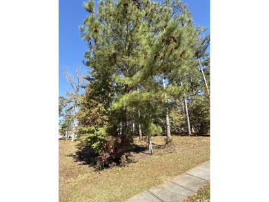 Welcome to Cypress River Plantation -- one of Myrtle Beach's on Heron Point Golf Club in South Carolina - for sale on GolfHomes.com, golf home, golf lot