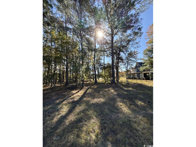 Welcome to Cypress River Plantation -- one of Myrtle Beach's on Heron Point Golf Club in South Carolina - for sale on GolfHomes.com, golf home, golf lot