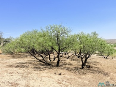 Build your dream house on this .235 acre lot that has beautiful on Sierra Del Rio Golf Club in New Mexico - for sale on GolfHomes.com, golf home, golf lot