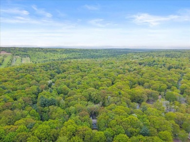 8-Bedroom Showstopper in LAKE HARMONY ESTATES!

Welcome to your on Split Rock Resort and Country Club in Pennsylvania - for sale on GolfHomes.com, golf home, golf lot