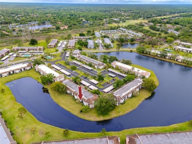 Stunning Waterview Condo in the Gated Community of East Lake on East Lake Woodlands Country Club in Florida - for sale on GolfHomes.com, golf home, golf lot