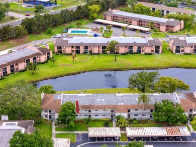 Stunning Waterview Condo in the Gated Community of East Lake on East Lake Woodlands Country Club in Florida - for sale on GolfHomes.com, golf home, golf lot