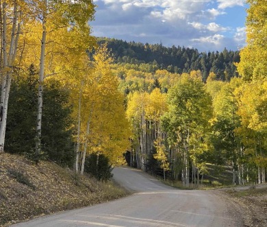 This residence is conveniently situated near all of Angel Fire on Angel Fire Resort Country Club in New Mexico - for sale on GolfHomes.com, golf home, golf lot