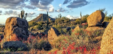 Representing significant value for this ownership: the SELLER on The Estancia Club in Arizona - for sale on GolfHomes.com, golf home, golf lot