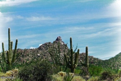 Representing significant value for this ownership: the SELLER on The Estancia Club in Arizona - for sale on GolfHomes.com, golf home, golf lot