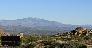 Representing significant value for this ownership: the SELLER on The Estancia Club in Arizona - for sale on GolfHomes.com, golf home, golf lot