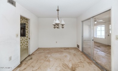 Calling all flippers, investors, and visionaries! This 3-bedroom on Sun City Lakes West and East in Arizona - for sale on GolfHomes.com, golf home, golf lot