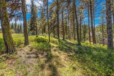 Gorgeous Valley and Mountain views with mature pine trees on Meadowcreek Golf Resort in Idaho - for sale on GolfHomes.com, golf home, golf lot