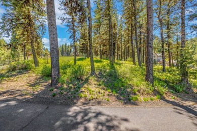 Gorgeous Valley and Mountain views with mature pine trees on Meadowcreek Golf Resort in Idaho - for sale on GolfHomes.com, golf home, golf lot