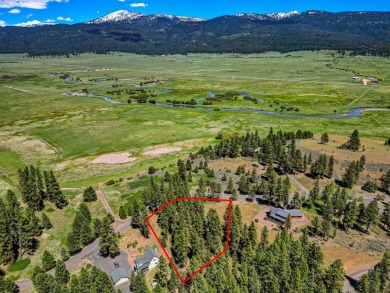 Gorgeous Valley and Mountain views with mature pine trees on Meadowcreek Golf Resort in Idaho - for sale on GolfHomes.com, golf home, golf lot