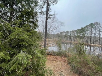 No need to go the mountains!! This  picturesque original log on Carolina Trace Country Club in North Carolina - for sale on GolfHomes.com, golf home, golf lot