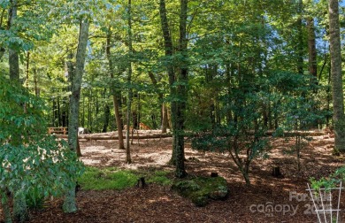 Offering $5,000 Seller Concessions! Golfer's Paradise in the on Stone Mountain Golf Club in North Carolina - for sale on GolfHomes.com, golf home, golf lot