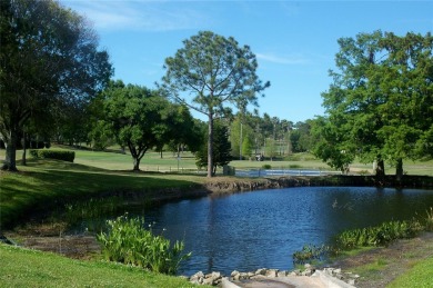 PRICE JUST LOWERED*** The first thing you sense when you walk on Highland Lakes Executive Golf Course in Florida - for sale on GolfHomes.com, golf home, golf lot