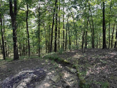 ChatGPT said: Welcome to 175 Burnt Rock Falls Rd in scenic on Indian Hills Country Club in Arkansas - for sale on GolfHomes.com, golf home, golf lot