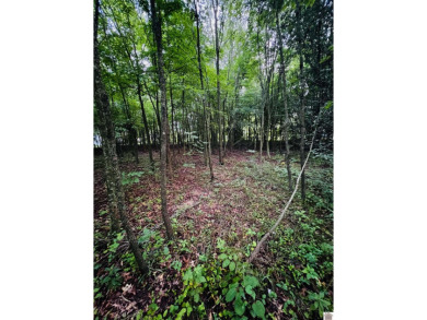 Beautiful Wooded 1+/-acre lot located across the street from on Drake Creek Golf Club in Kentucky - for sale on GolfHomes.com, golf home, golf lot