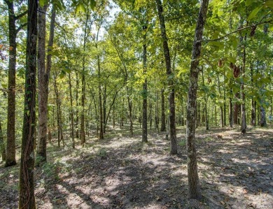 Discover this charming home in an active, quiet community.  As on Diamondhead Golf and Country Club in Arkansas - for sale on GolfHomes.com, golf home, golf lot