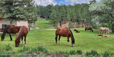 101 Niblic Court.  One Level Townhome! 3  Bedrooms, 2 Bathrooms on Cree Meadows Country Club in New Mexico - for sale on GolfHomes.com, golf home, golf lot